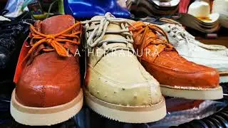 Zapato Exotico / Exotic Leather Shoes