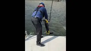 Klein Marine Systems: The difference is in the image.