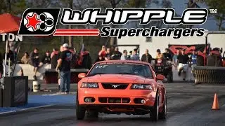 Установка Whipple 2.9L Gen 3 на Cobra Terminator 03-04