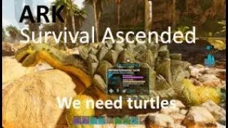 Episode 58 : We need turtles | Ark