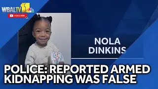 Police: Mother in custody after false armed kidnapping report