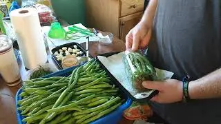 Jesus is Lord Dilly Beans