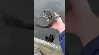 Fish release FAIL #bassfishing #largemouthbass #fishingfail #freshwaterfish #fishing #fish #carp