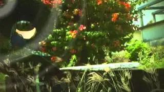 Mr. Killa's Video Intro - All Gettonnaz - Grenada Soca Monarch 2011.mpg