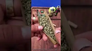 &iquest;Como hacer un blunt en 9 pasos?