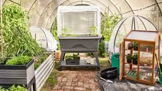 Backyard Farmer &mdash; your partner in home growing 💚