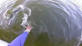 June 3/22 Striper fishing lake Oconee