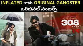 Pawan Kalyan Career Highest Grossing Film ₹308 Cr | They Call Him OG RULES Box Office | Filmibeat