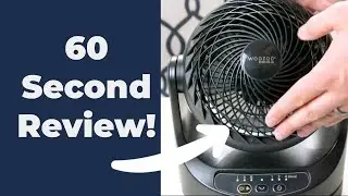 IRIS USA WOOZOO Oscillating Fan REVIEW | Easy Recommend!