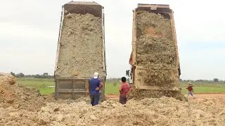 Amazing Dump Trucks Unloading Soil and Excavators Leveling Wet Soil On Road Construction