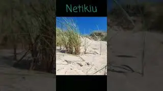 Greta - Netikiu