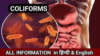 Coliforms Explained in Hindi & English | Biology Class 11&ndash;12, NEET, BSc & MSc Microbiology 