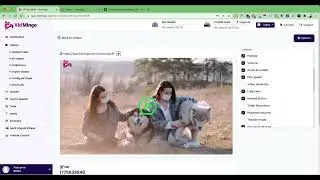 Vidmingo Demo