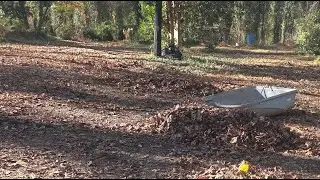The Natural Gardener zero cost organic garden, DIY PROJECT.