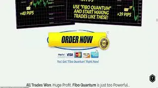 Fibo Quantum - Fibo Quantum Reviews - Fibo Quantum Indicator | How to Win With Fibo Quantum?