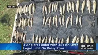 Minn. DNR: 4 Anglers Found With 48 Fish Over Legal Limit On Rainy River