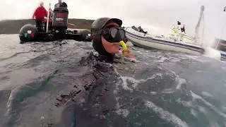Apnée gueuse 30m / Free dive 100ft www.pulsesurfcoaching.com Gautier GARANX