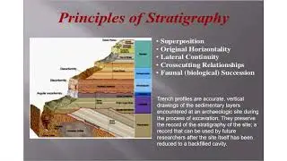 Archealogical stratification used to debunk Darwinism