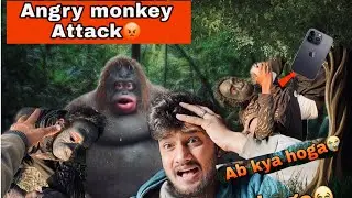 ||Angry monkey iphone 📱 la gya 😭|| ab kya hoga 😔