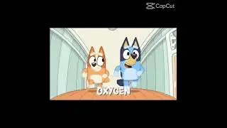 Bluey and bingo edit ✨