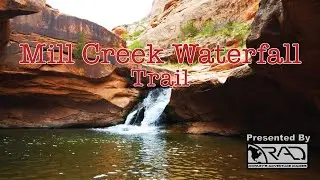 Treading Water In Mill Creek