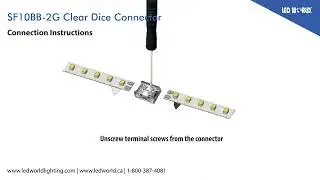 SF10BB 2G Strip to Strip Clear Dice connector Guide