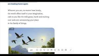 Wild Geese by Mary Oliver #배철현교수님 #고래학교 #선경지명최선경 #Mary Oliver