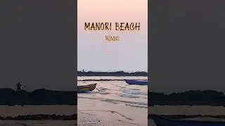 📍Manori Beach, Malad West I Mumbai #atrangibirds