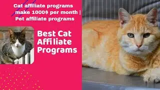 Cat affiliate programs make 1000$ per month | Pet affiliate programs | Affiliate Program