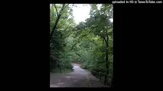 REVƎЯ