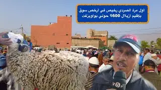 أول مرة الصردي رخيص في أرخص سوق بإقليم أزيلال 1600 حولي بواويزغت