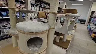 Drapak dla kota Rufi. Ekspozycja drapaków w zoozoo.pl sklep zoologiczny Warszawa Plac Vogla