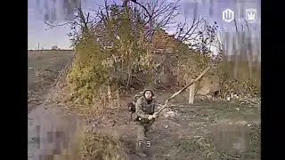 Щось з лицем, хробак. Знимкують Птахи Мадяра.