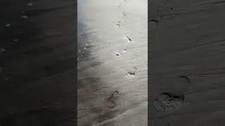 Footsteps on the sand #westcoast #jenniemcbride #allhislight #beach #sand