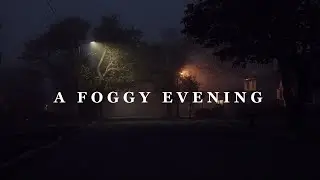 A Foggy Evening | BMMCC Footage