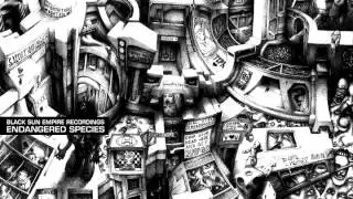 Black Sun Empire - The Cooler (Audio Remix)