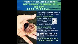Science on the Bay: Clamming Part 1
