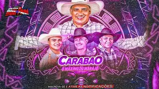 CD MARCANTES CARABAO - DJ TOM M&Aacute;XIMO- AS MELHORES CD NOVO AO VIVO #carabao #marcantes 