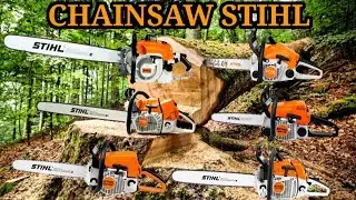 Terbaru Tahun 2026. Harga dan Spesifikasi Senso/Chainsaw STIHL. #chainsaw #stihl #chainsawsthil 