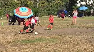 LA Evolution - Player skills