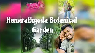 Henarathgoda Botanical Garden~Gampaha  VLOG  10 | Travel With Love Birds🎒