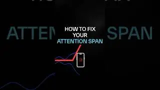 How to Fix Your Attention Span