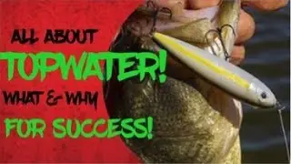 Catch More Bass on Topwater