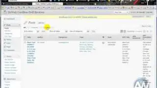The Best Amazon Wordpress Plugin review