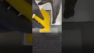 Распаковка |REALME 11 Pro Sunshine 8gb/256gb| #unpacking #realme #11pro #распаковка #short