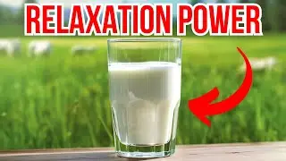9 Health Benefits of Drinking Milk at Night (Why Milk is Your New Bedtime Drink)