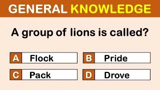How Intelligent Are You? | Test Yourself with This 10-Question GK Quiz