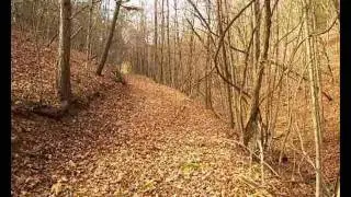 Peter Pan - Kje so tiste stezice (Re: Urša & pr)
