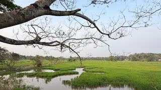 Bangalore Road Chengannur // Beautiful Place 