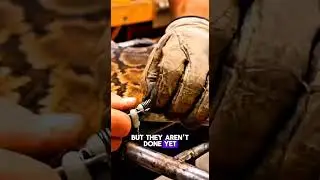From Deadly Snake to Luxury Jacket! 🐍🧥 #snakeskin #leather #howitsmade #factory